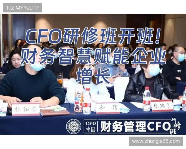 从AL到CFO的战略较量探究企业高层决策与财务智慧争锋 从AL到CFO的战略较量探究企业高层决策与财务智慧争锋