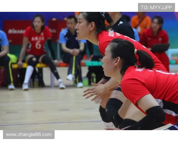 凝聚青春力量共筑强健体魄推动全民体育事业高质量发展