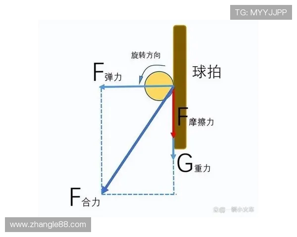 乒乓球运动的技巧与训练方法探索：从基础动作到高级战术的全面解析