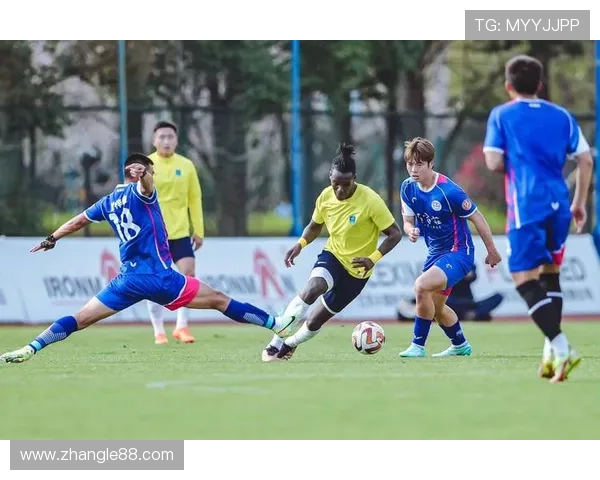 南通支云全力冲击新赛季目标展望球队阵容升级与未来发展路径分析 南通支云全力冲击新赛季目标展望球队阵容升级与未来发展路径分析