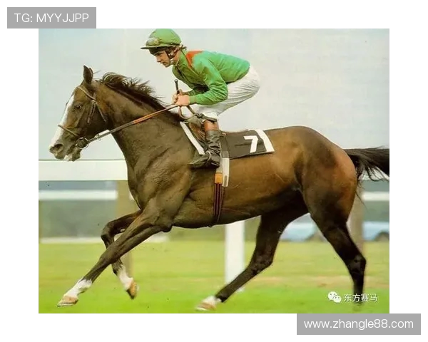 探索全球体育盛事的魅力与发展趋势：从竞技到文化的多维度解析