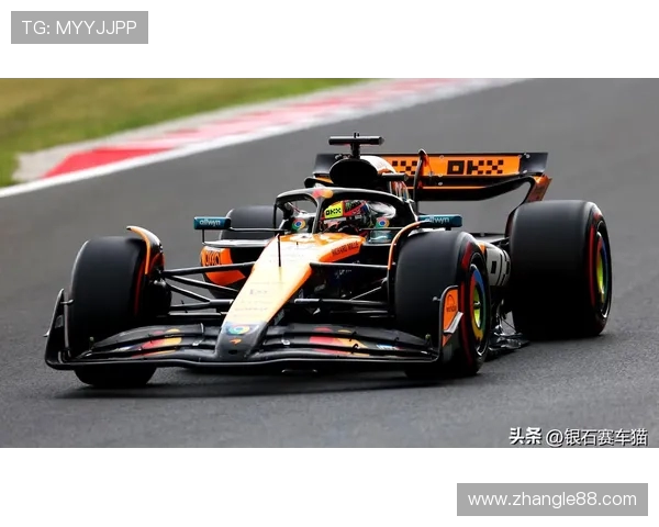 河南队全力冲击新赛季冠军展望球队阵容实力与未来走势解析