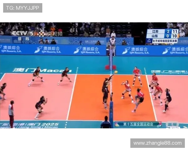 南京排球队在排球比赛中取得新突破经验排名创新高引发关注