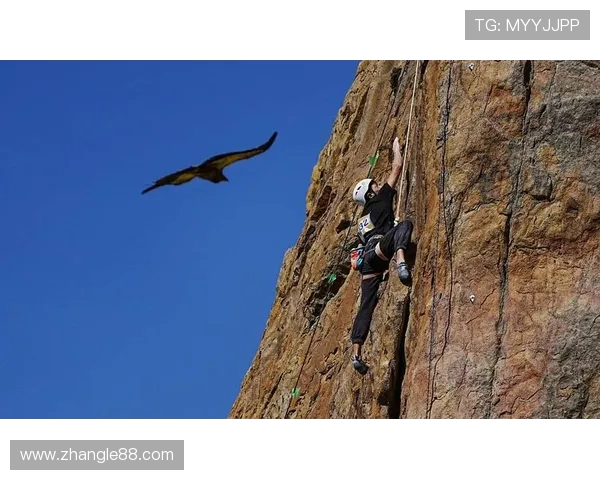 广州攀岩队整体压制体系探讨与战术分析之攀岩战术研究