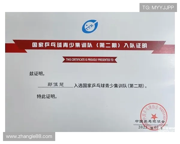 深圳乒乓球队个人能力分析与发展潜力探讨的深度研究 深圳乒乓球队个人能力分析与发展潜力探讨的深度研究